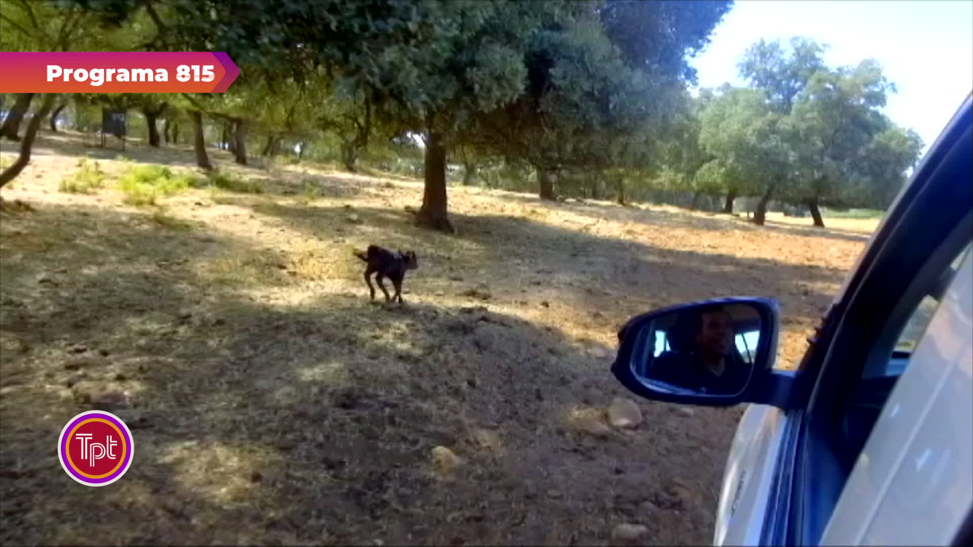 TOROS PARA TODOS  15/06/2026